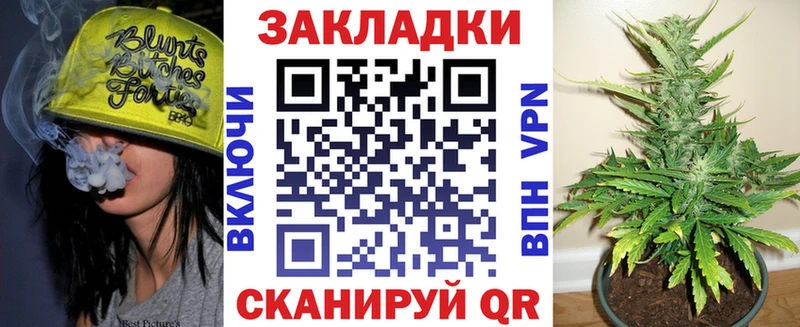Виды наркотиков купить Темников МАРИХУАНА  А ПВП  Гашиш  Галлюциногенные грибы  Меф мяу мяу 