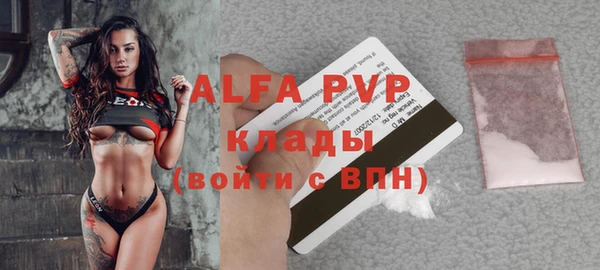 стафф Заводоуковск
