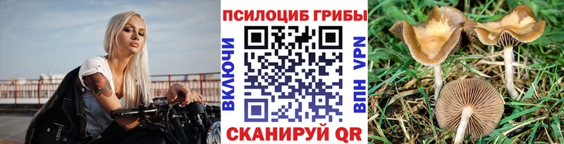 площадка формула  наркота  Темников  Галлюциногенные грибы GOLDEN TEACHER 